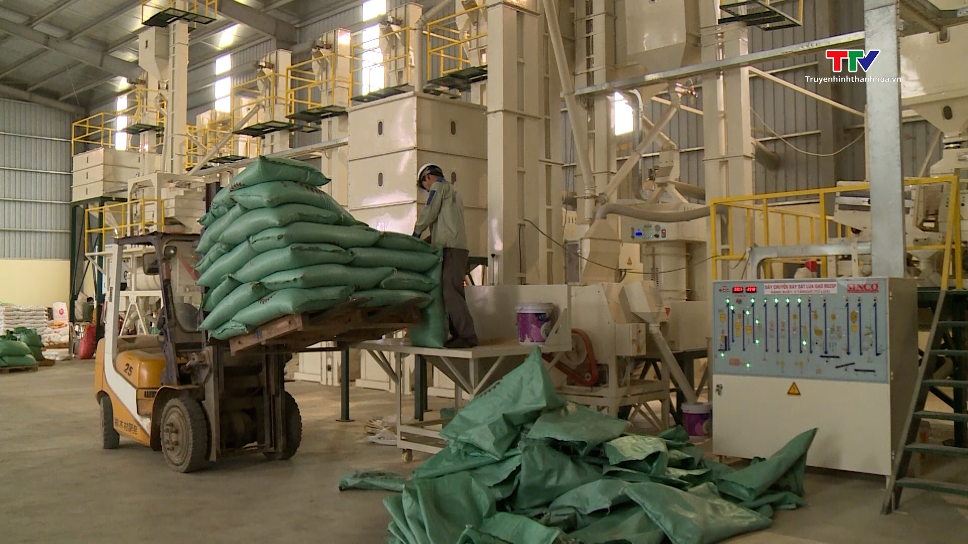 Ứng dụng khoa học công nghệ trong sản xuất chế biến lúa gạo - Ảnh 2.
