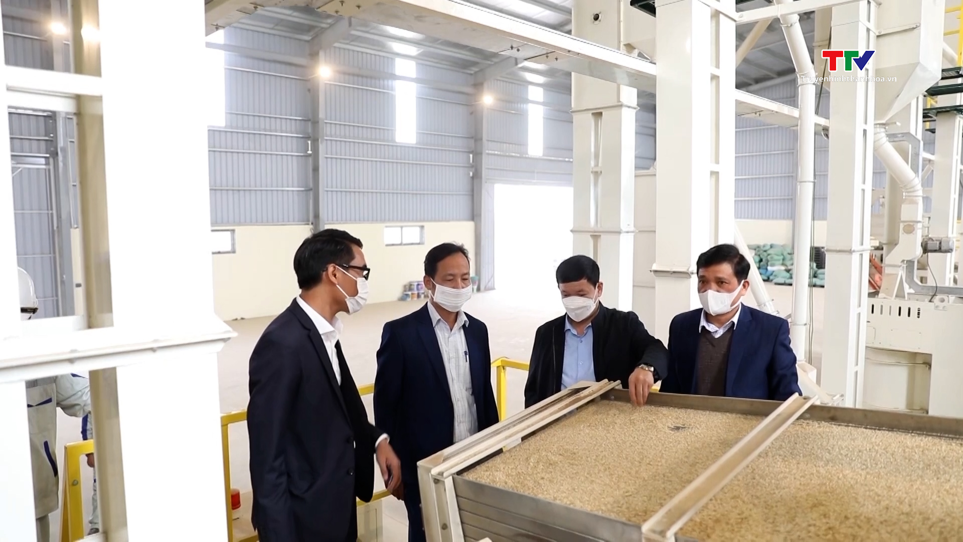 Ứng dụng khoa học công nghệ trong sản xuất chế biến lúa gạo - Ảnh 4.