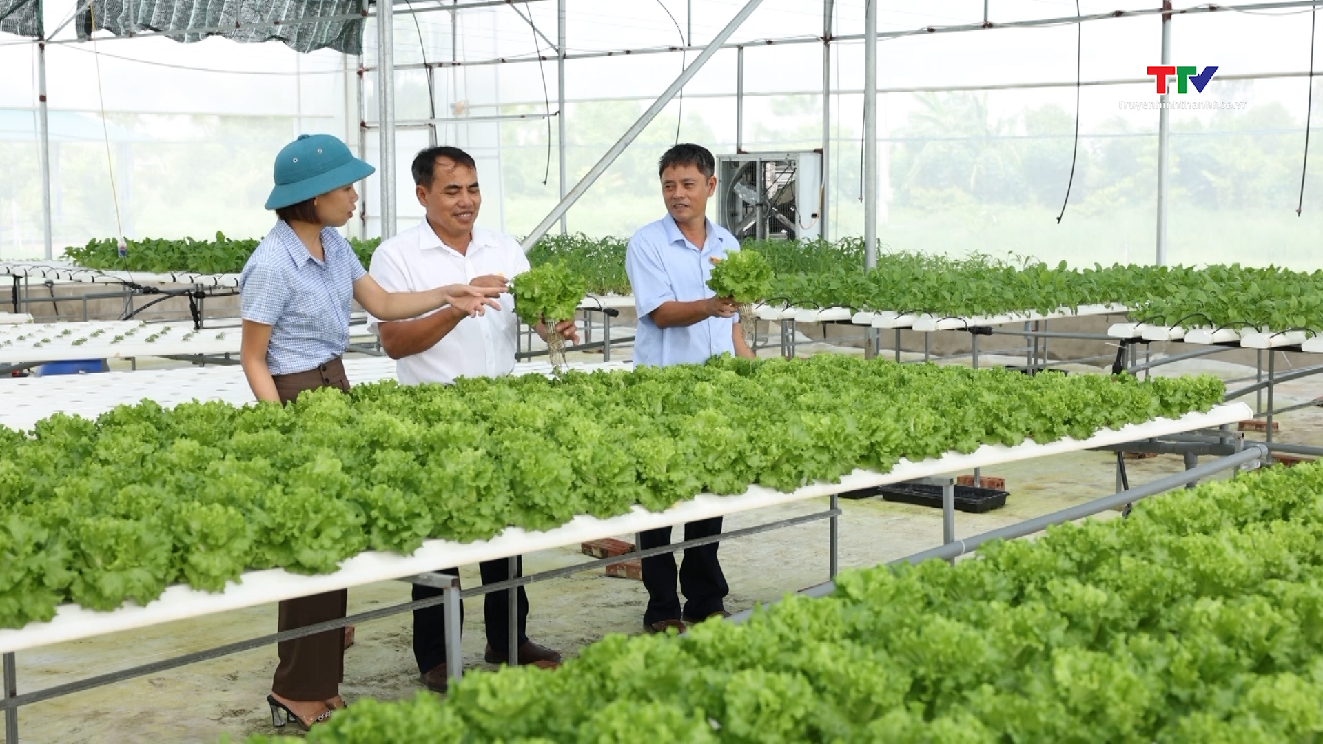 Nhiều giải pháp đẩy mạnh ứng dụng khoa học công nghệ vào sản xuất nông nghiệp - Ảnh 1.