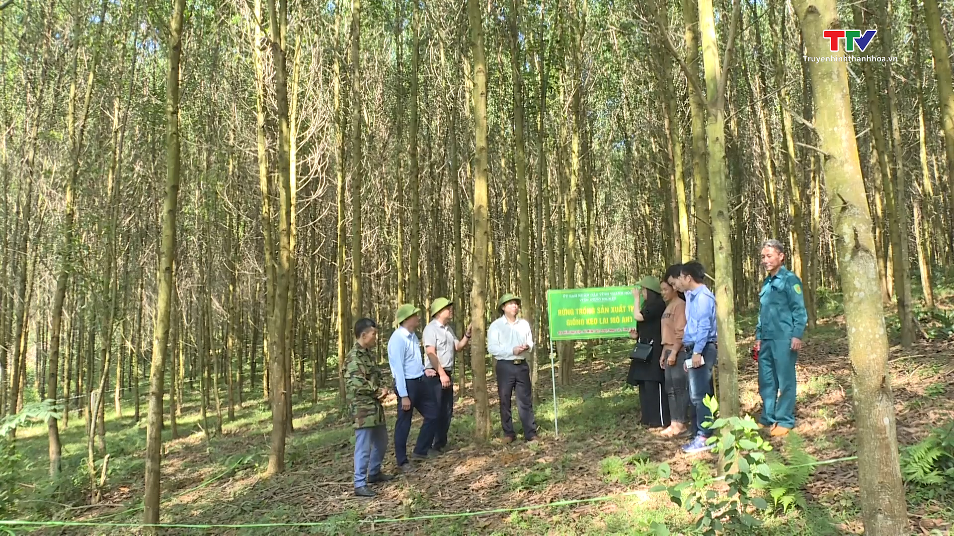 
Tổng kết Dự án trồng rừng thâm canh gỗ lớn bằng giống keo lai cấy mô- Ảnh 1.