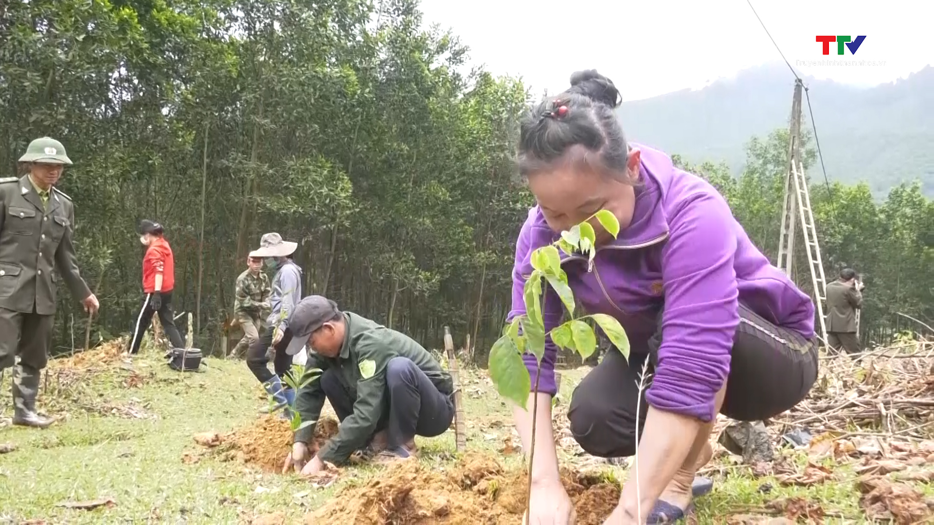 Thanh Hóa vượt kế hoạch trồng rừng tập trung năm 2023- Ảnh 2.