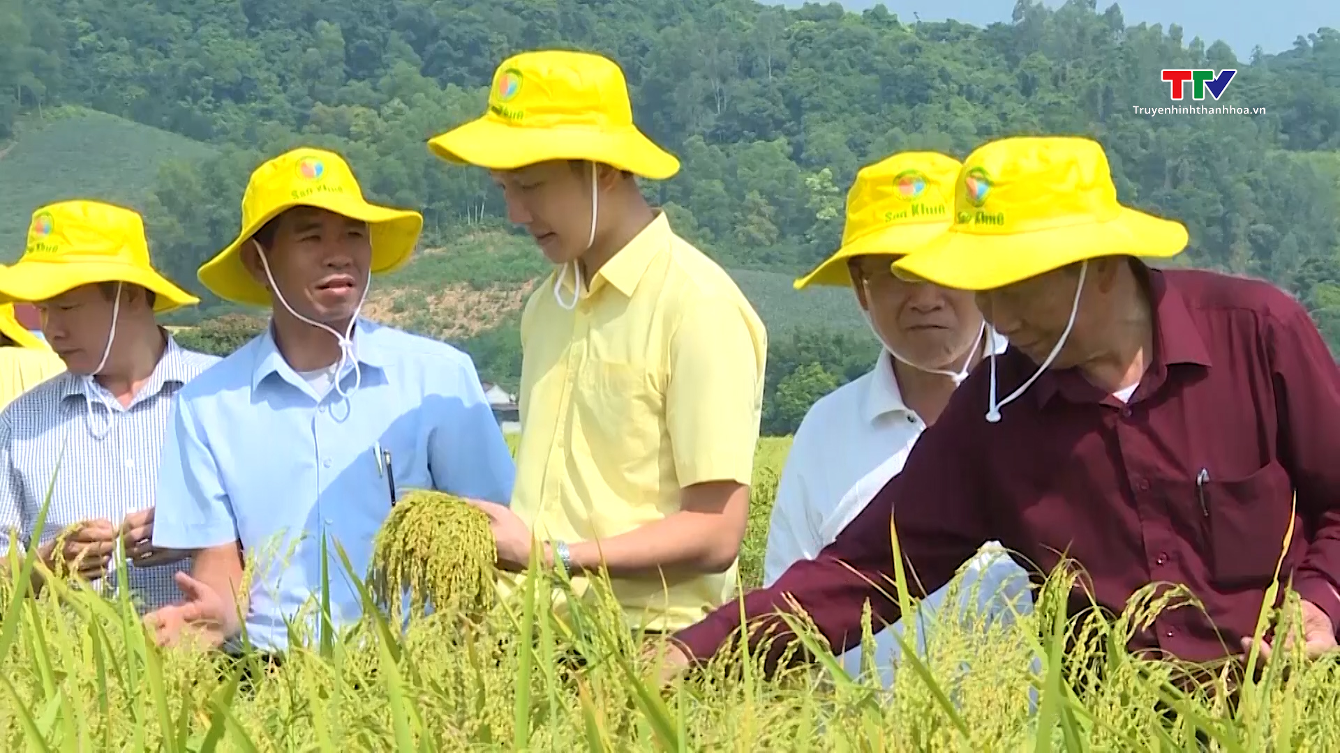 Năm 2023, tốc độ tăng trưởng ngành nông nghiệp Thanh Hoá đạt 4,16%- Ảnh 1.