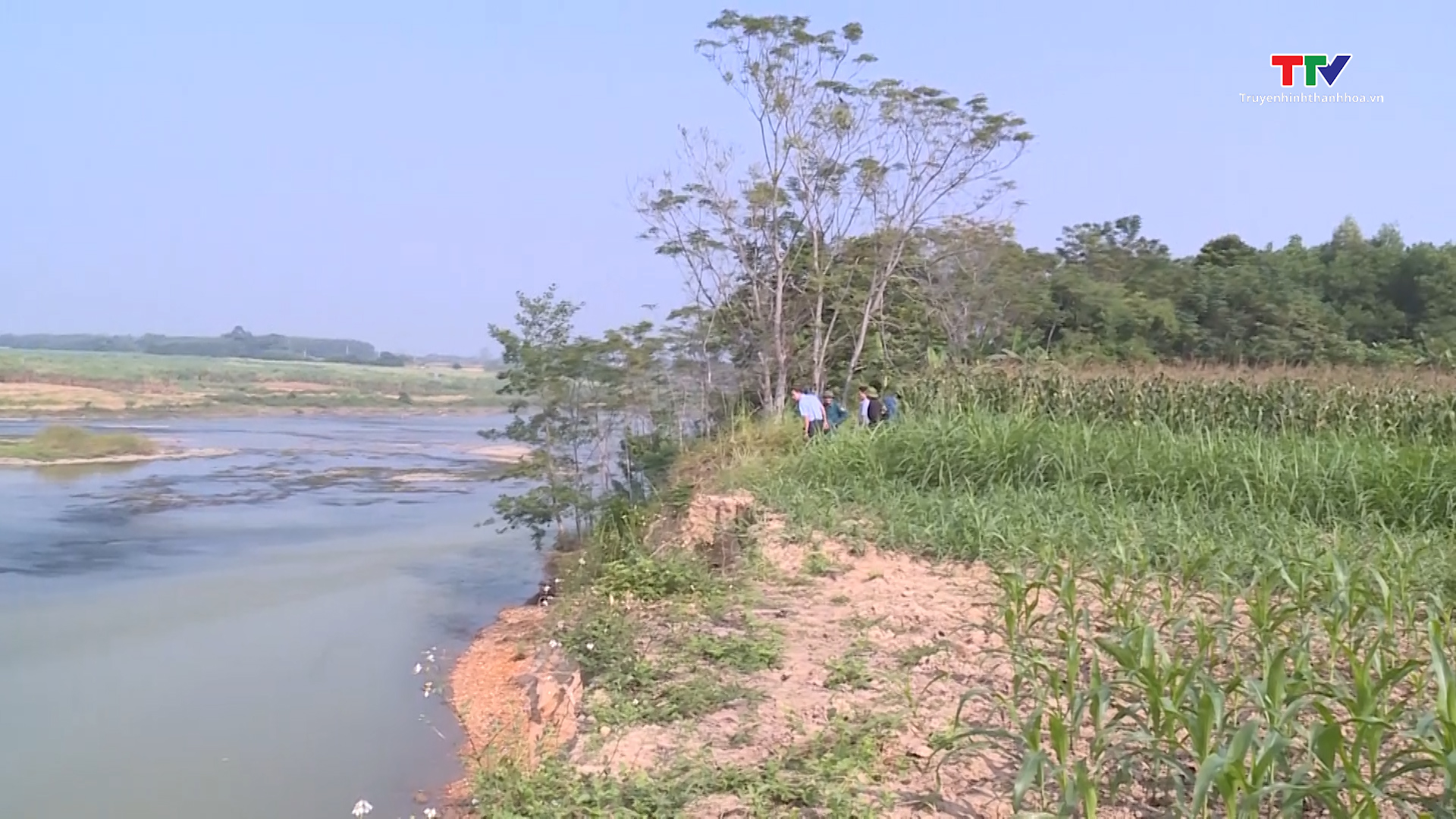 Sạt lở bờ hữu sông Chu tại xã Thọ Hải, huyện Thọ Xuân- Ảnh 4.