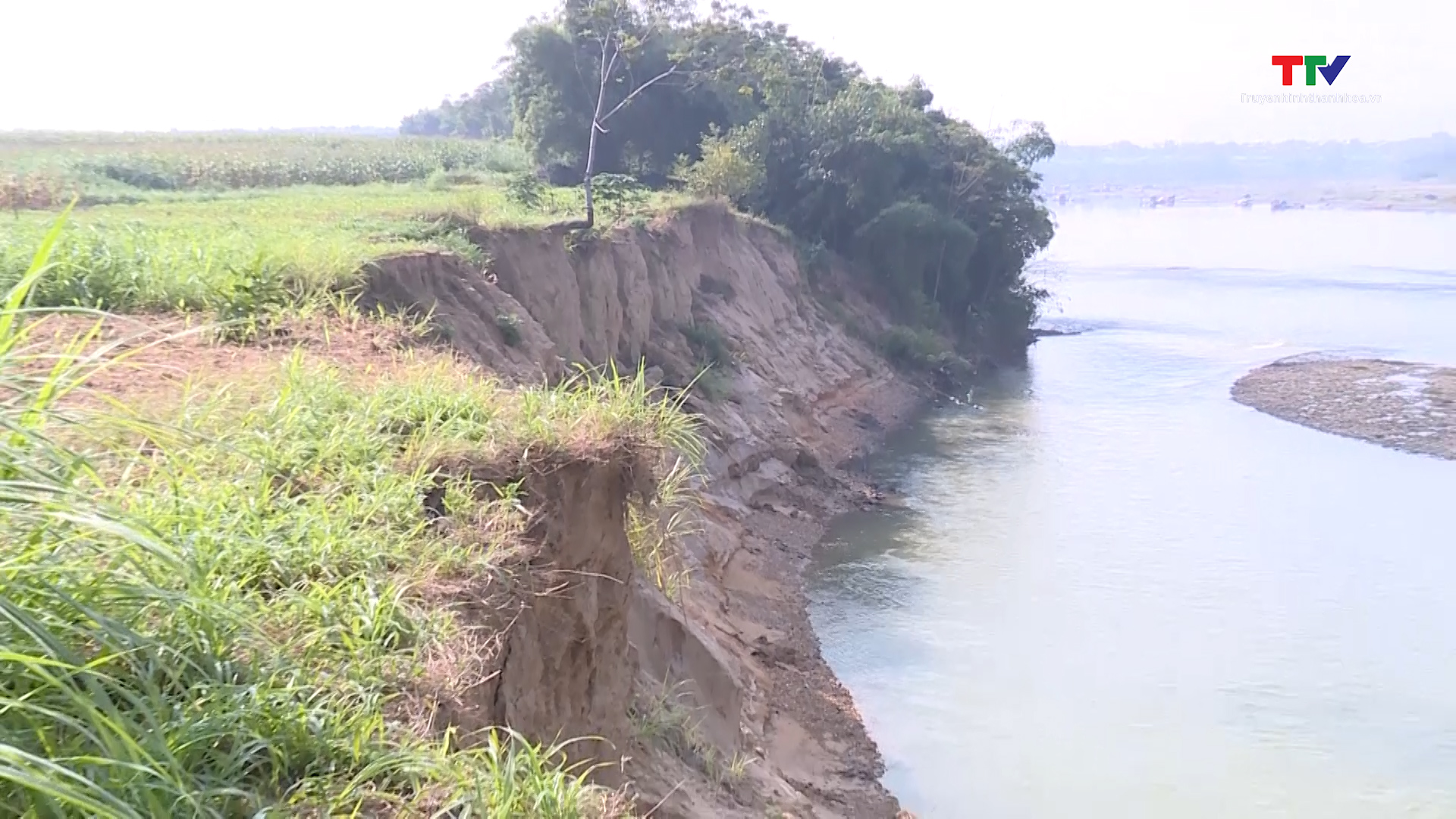 Sạt lở bờ hữu sông Chu tại xã Thọ Hải, huyện Thọ Xuân- Ảnh 2.