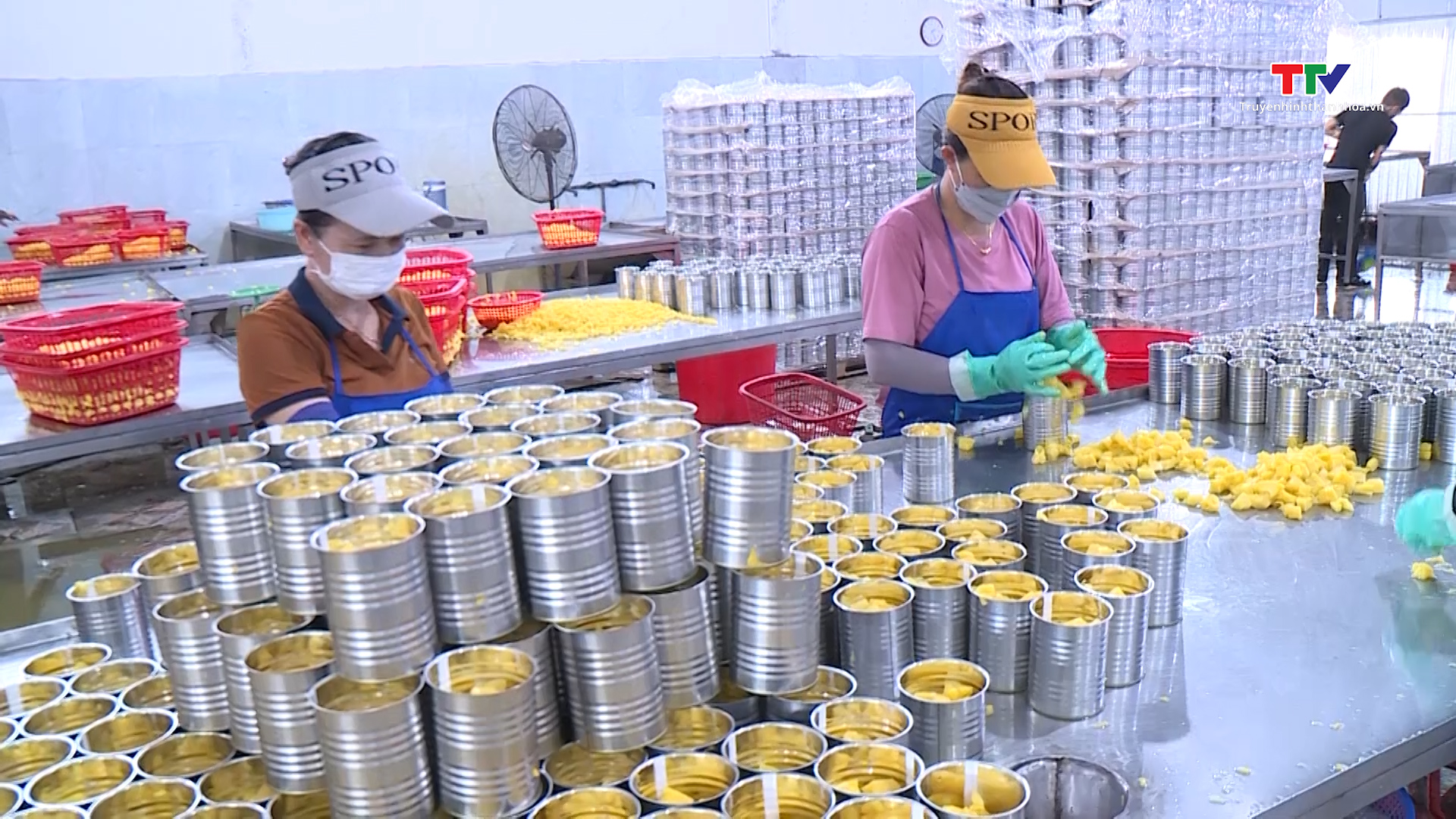 Doanh nghiệp tìm kiếm đơn hàng, đảm bảo ổn định sản xuất - Ảnh 3. Doanh nghiệp tìm kiếm đơn hàng, đảm bảo ổn định sản xuất - Ảnh 3.
