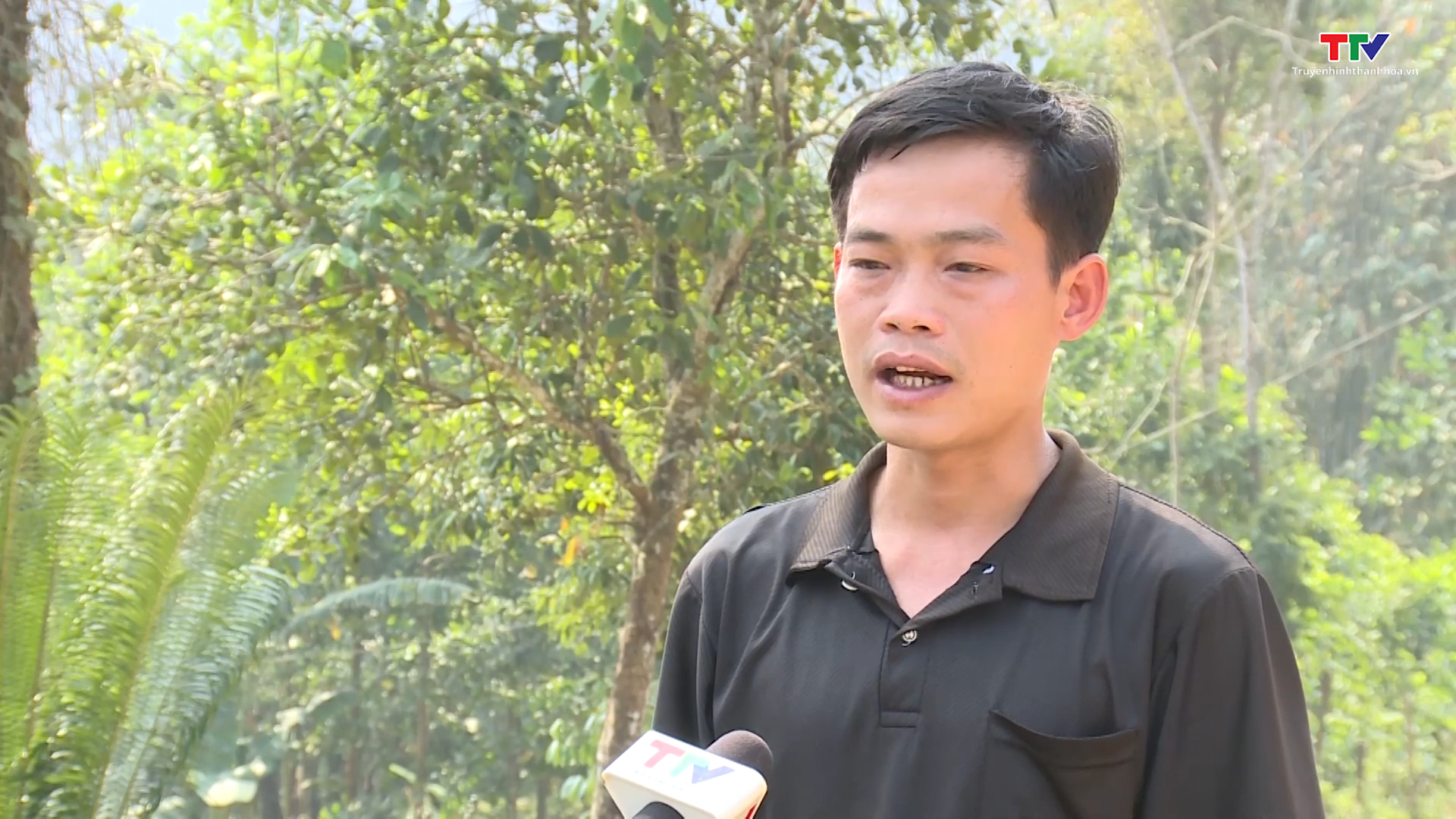 Nguồn nước bị ô nhiễm ở xã Thanh Xuân, huyện Như Xuân - Ảnh 1.