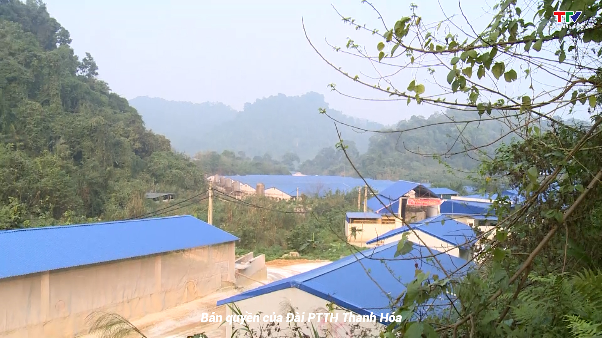 Kết quả kiểm tra xác minh tình trạng ô nhiễm nguồn nước tại xã Thanh Xuân, huyện Như Xuân - Ảnh 2.