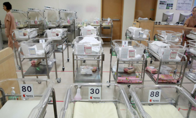 Hàn Quốc: Tỉ lệ sinh xuống mức thấp kỷ lục trong năm 2022 - Ảnh 1. Hàn Quốc: Tỉ lệ sinh xuống mức thấp kỷ lục trong năm 2022 - Ảnh 1.