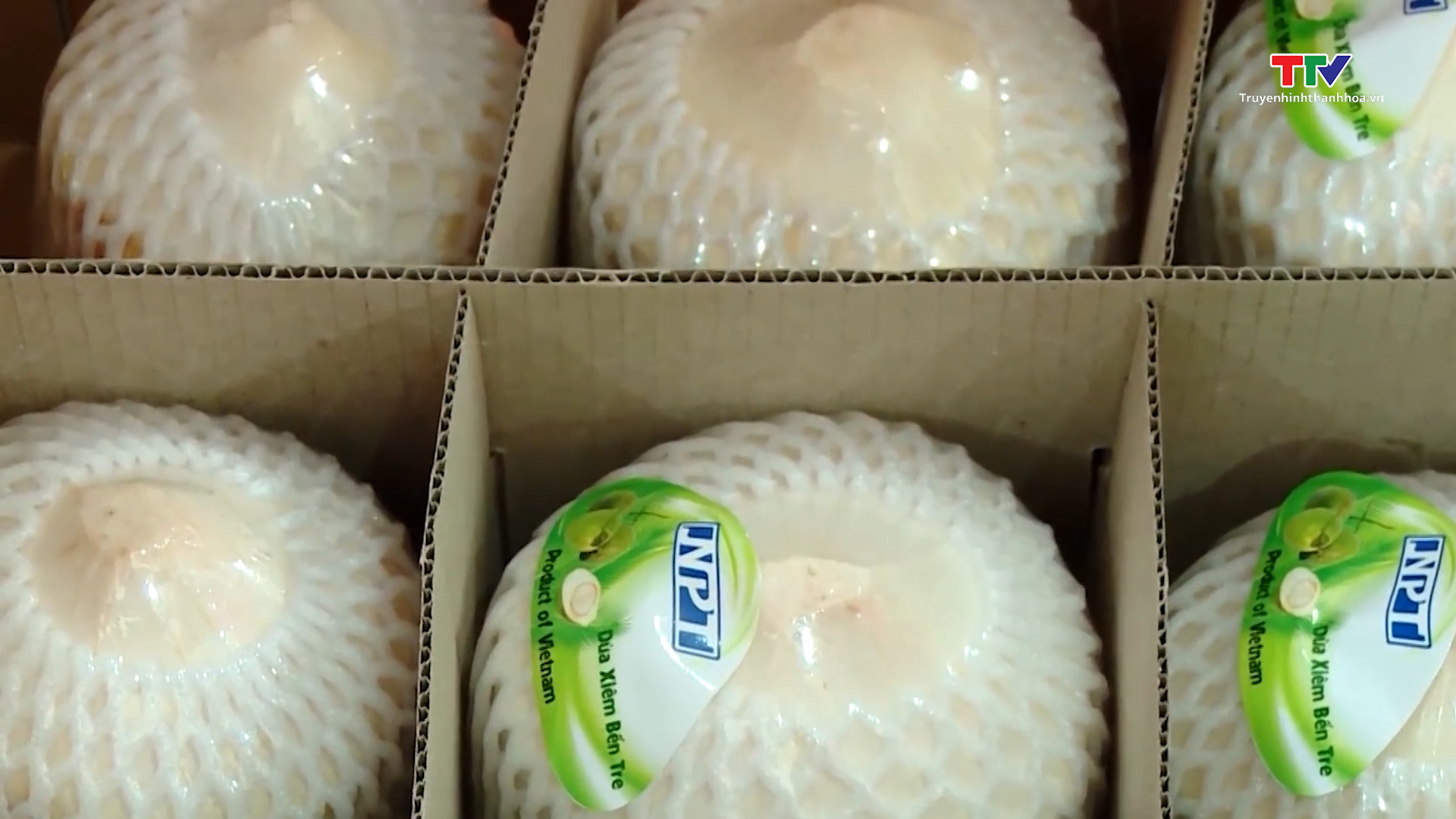 Xuất khẩu dừa của Việt Nam sắp đạt mục tiêu 1 tỷ USD - Ảnh 2.