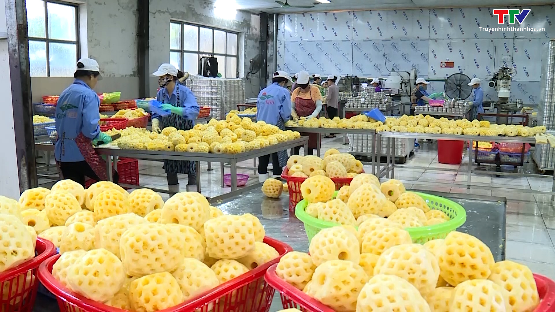 Trung Quốc là điểm sáng cho xuất khẩu nông thủy sản - Ảnh 2.