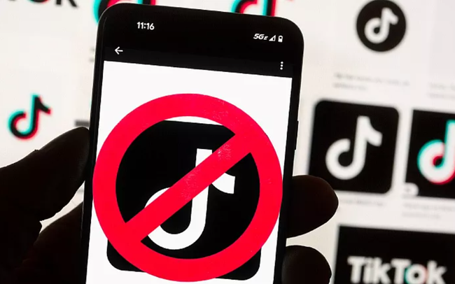 Hà Lan cấm nhân viên chính phủ cài ứng dụng TikTok trên điện thoại công - Ảnh 1.