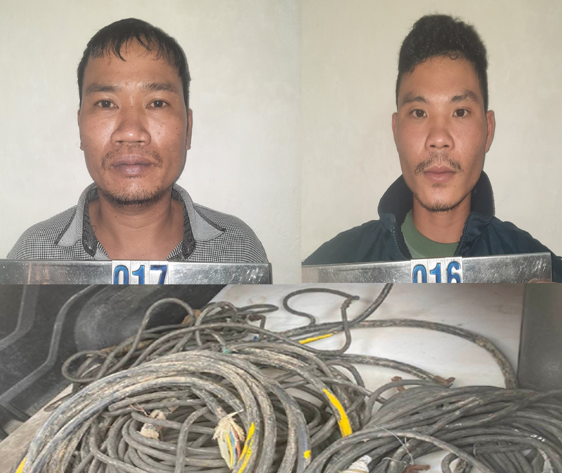 Bắt 2 đối tượng trộm cắp dây cáp điện tại nhà máy xi măng Long Sơn - Ảnh 2.