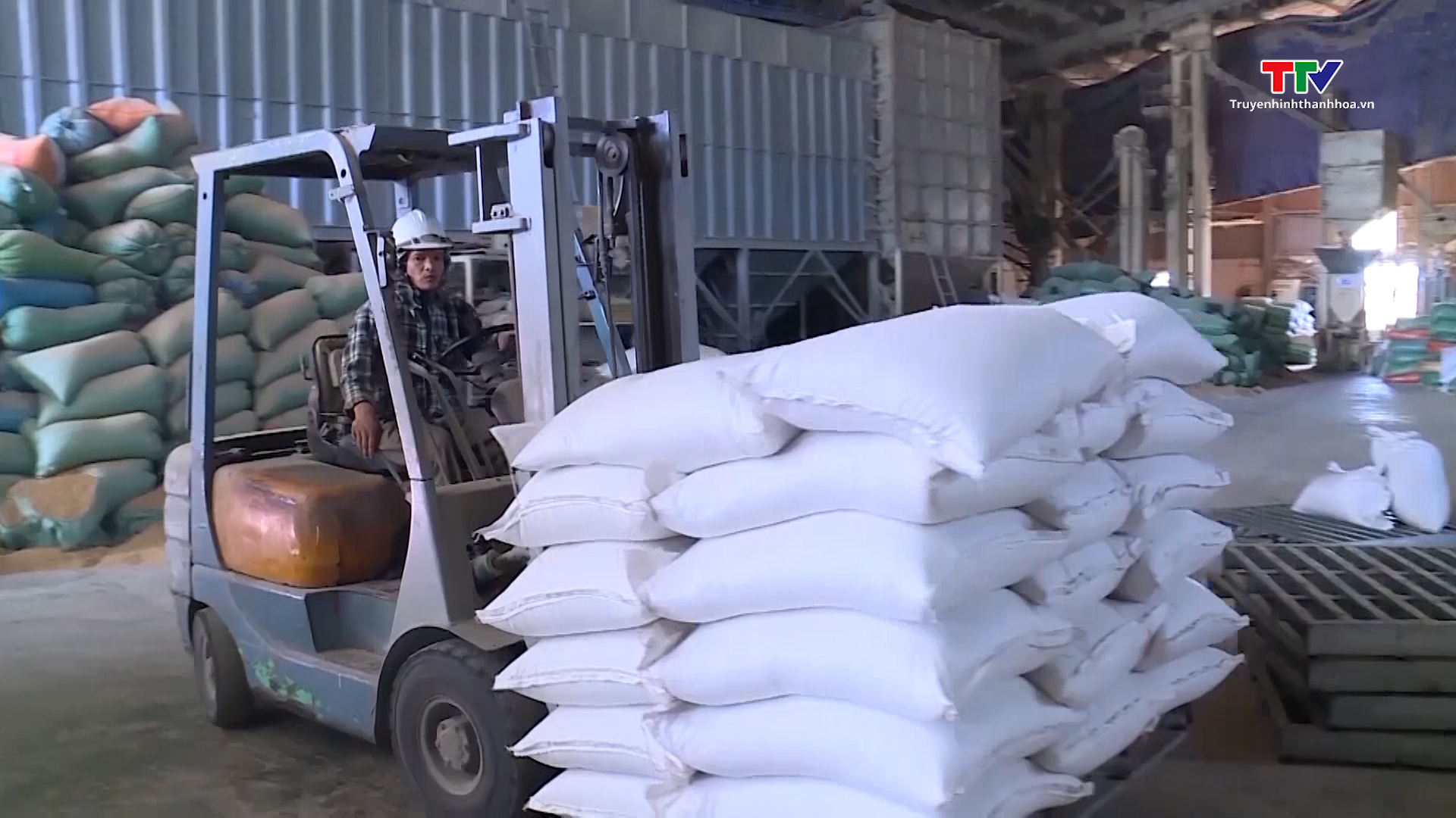 Bộ Công thương tăng cường chỉ đạo về công tác xuất khẩu gạo - Ảnh 2.