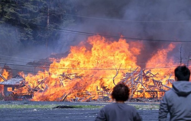Cháy rừng ở Hàn Quốc, hàng trăm cư dân phải sơ tán - Ảnh 1.