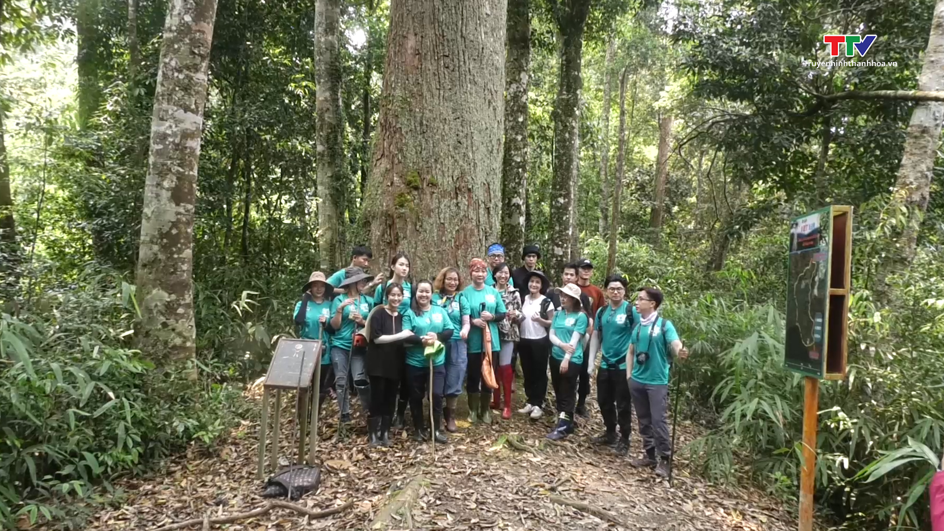 Hoa hậu Hoàn vũ Việt Nam tham gia trồng rừng tại Khu bảo tồn Thiên nhiên Xuân Liên, huyện Thường Xuân - Ảnh 8.