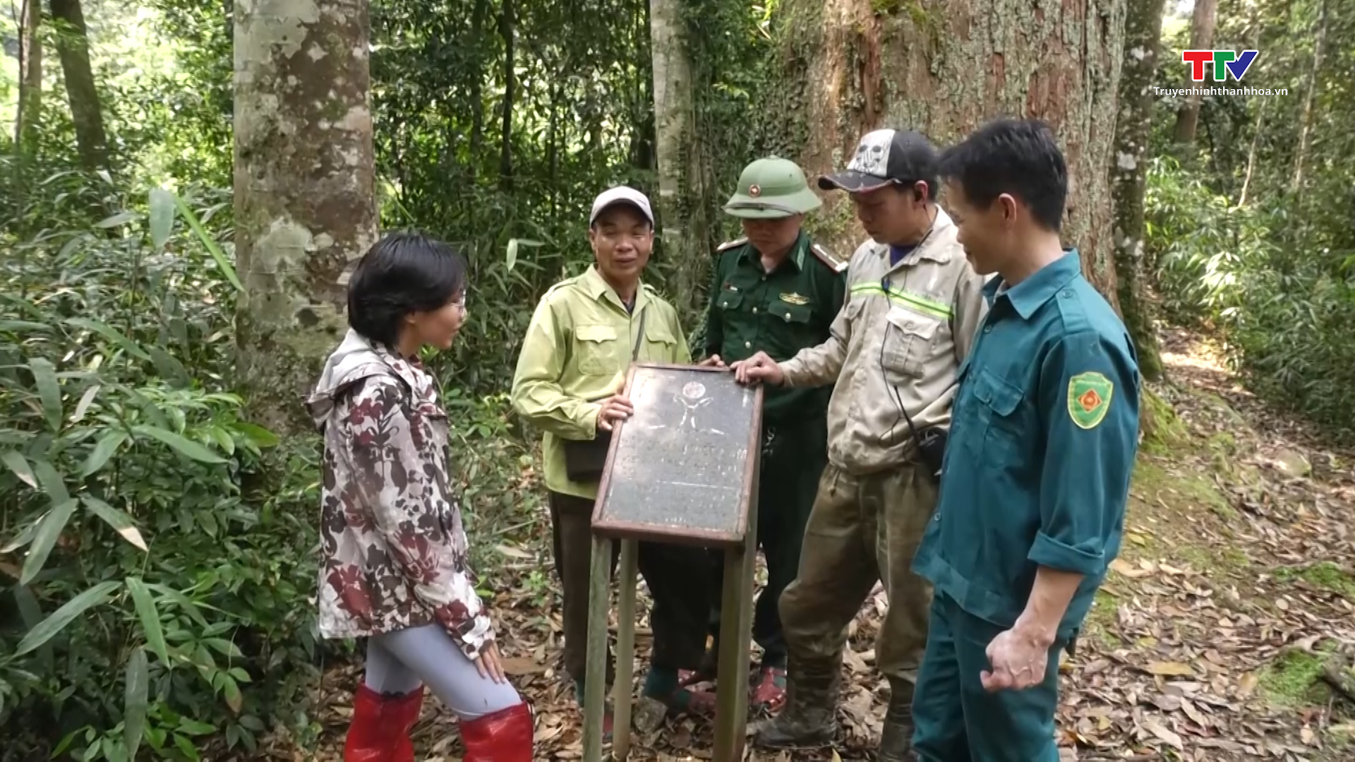 Hoa hậu Hoàn vũ Việt Nam tham gia trồng rừng tại Khu bảo tồn Thiên nhiên Xuân Liên, huyện Thường Xuân - Ảnh 5.