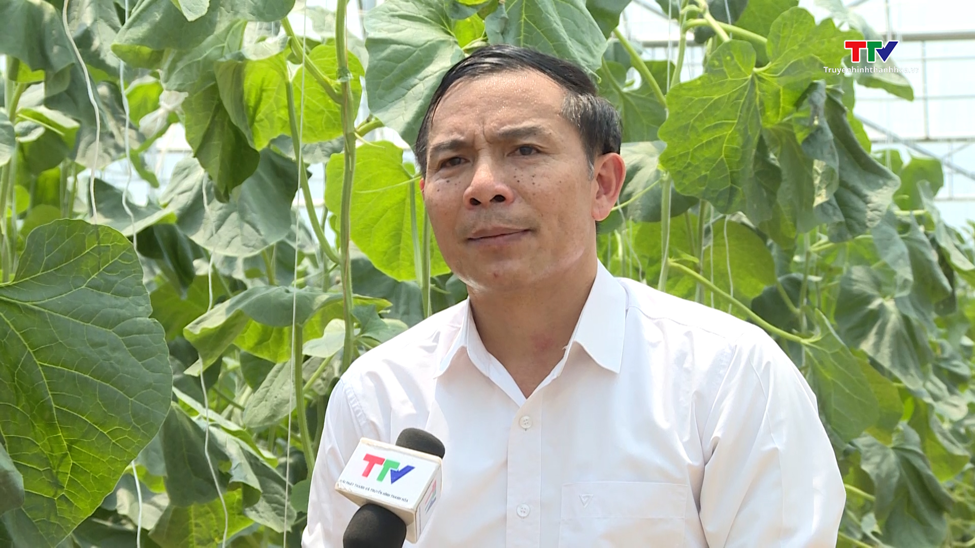 Ứng dụng khoa học và công nghệ trong phát triển nông nghiệp ở huyện Nga Sơn - Ảnh 3.