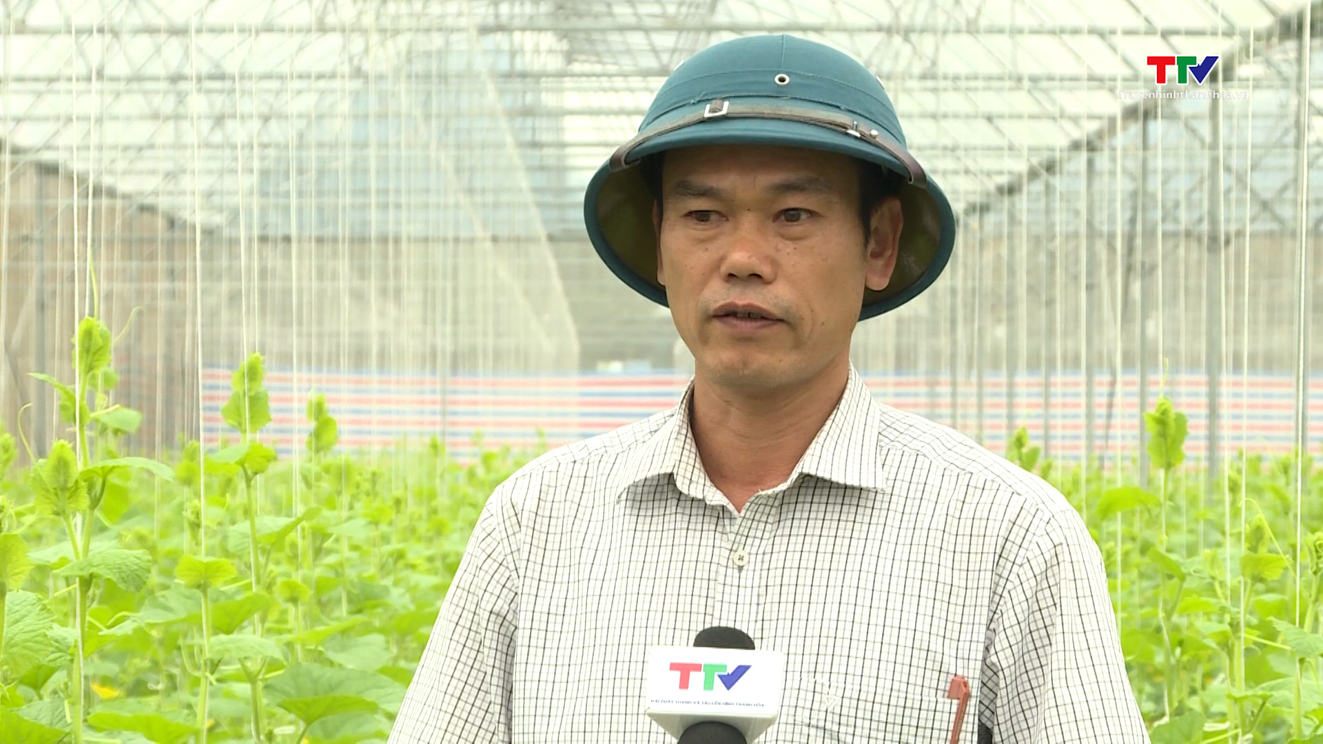 Ứng dụng khoa học và công nghệ trong phát triển nông nghiệp ở huyện Nga Sơn - Ảnh 7.