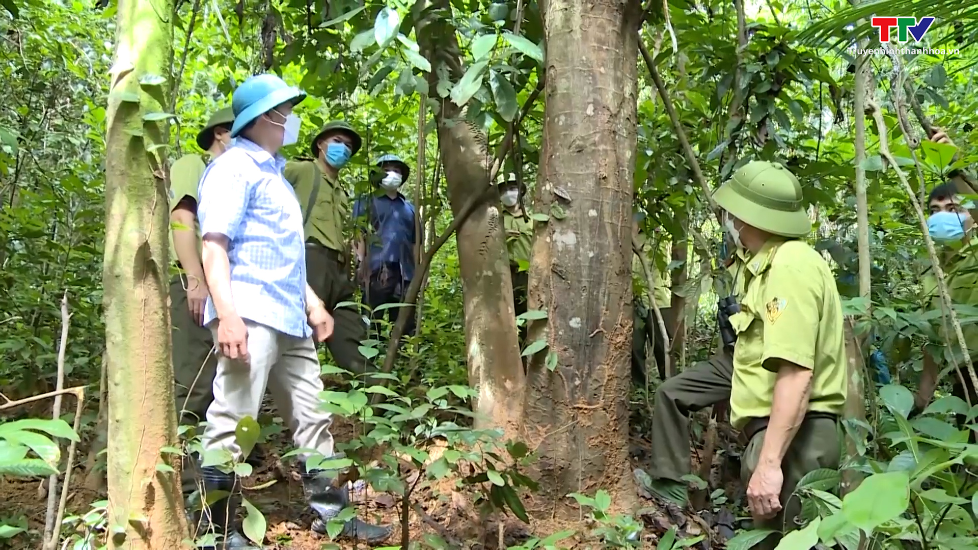 Thanh Hóa bảo tồn đa dạng sinh học rừng đặc dụng - Ảnh 3.
