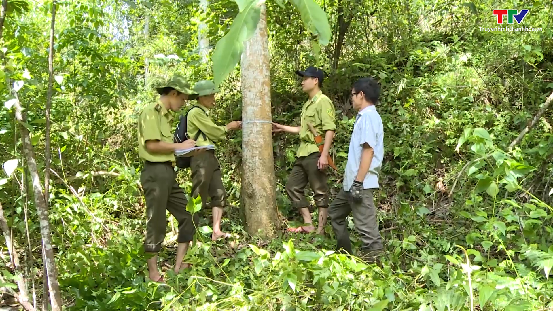 Thanh Hóa bảo tồn đa dạng sinh học rừng đặc dụng - Ảnh 4.
