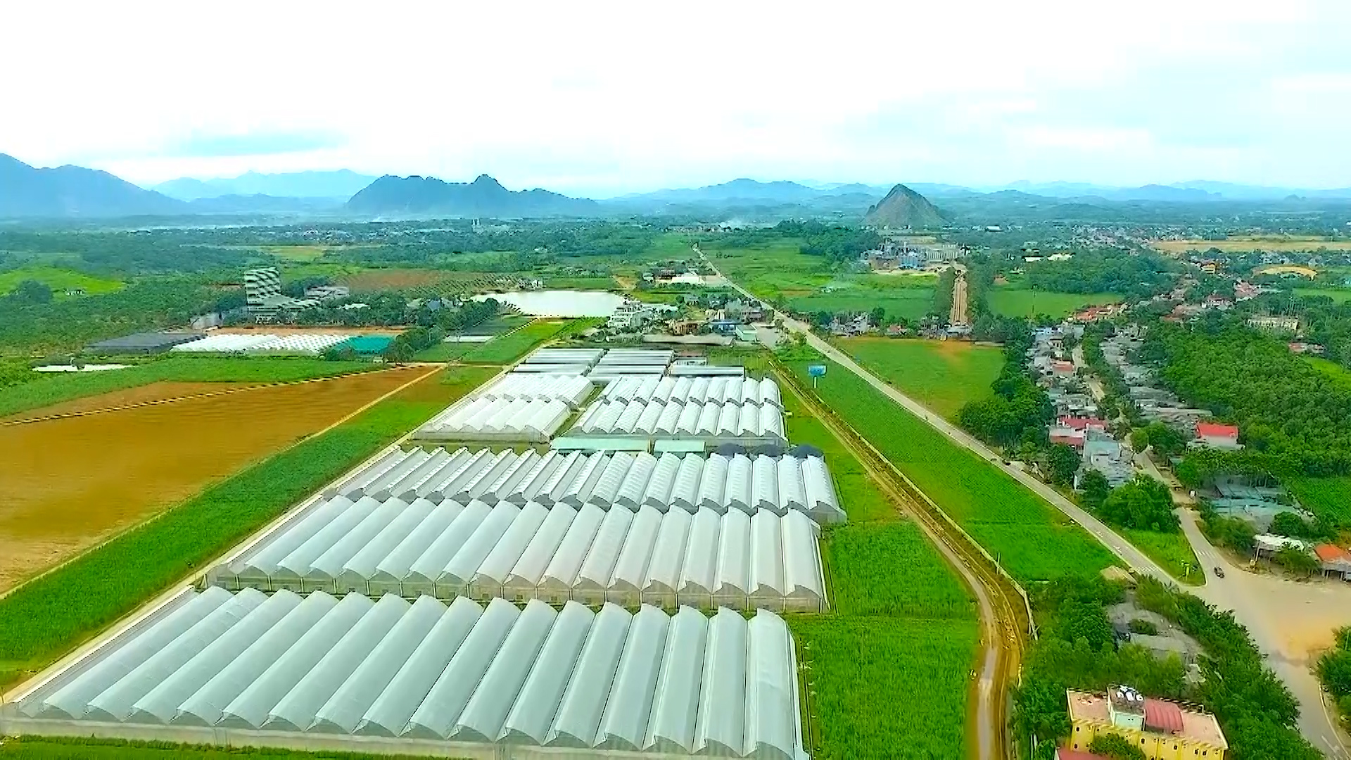Thanh Hóa khuyến khích tụ đất đai sản xuất nông nghiệp quy mô lớn, công nghệ cao - Ảnh 2.