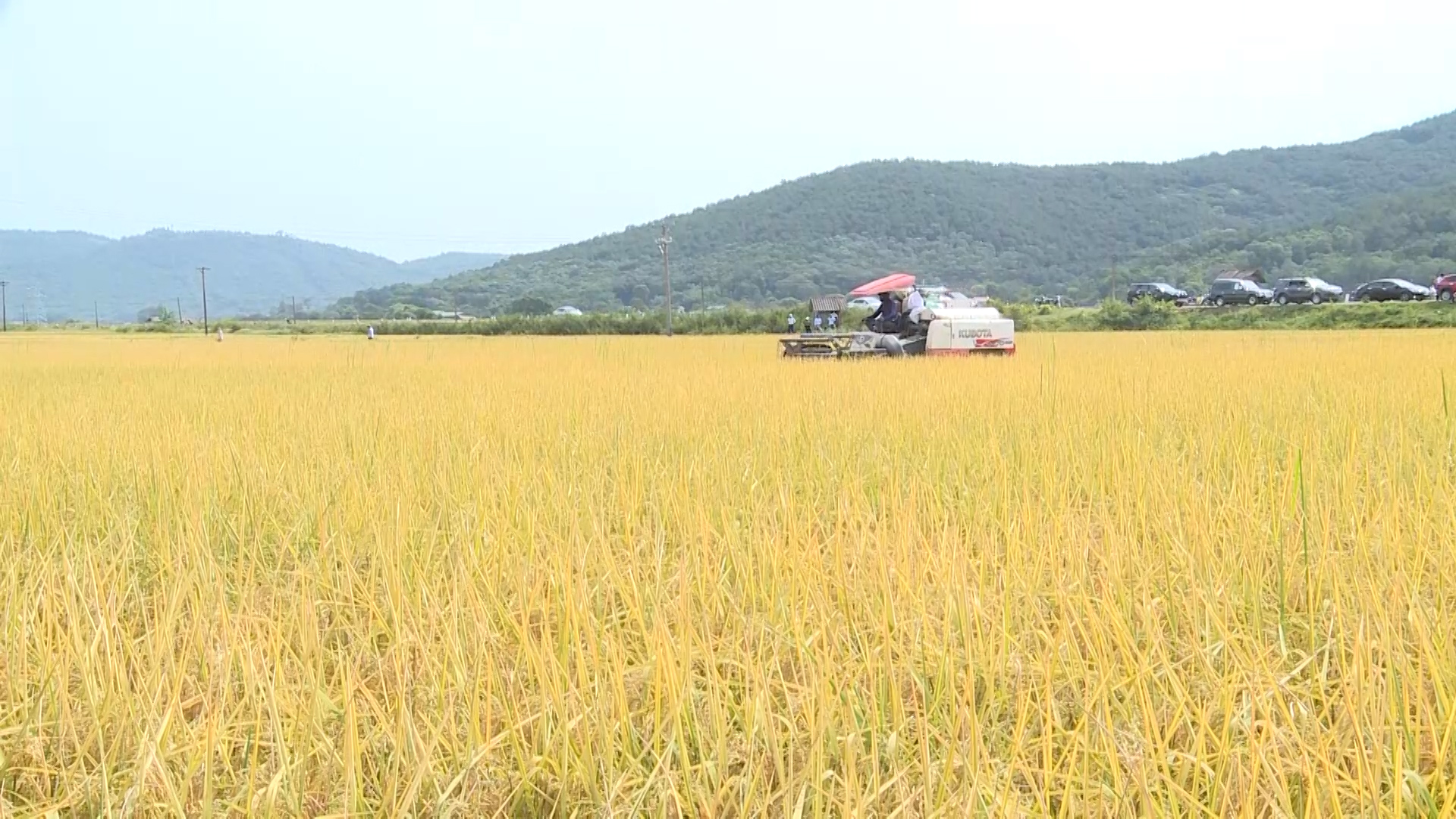 Thanh Hóa khuyến khích tụ đất đai sản xuất nông nghiệp quy mô lớn, công nghệ cao - Ảnh 4.