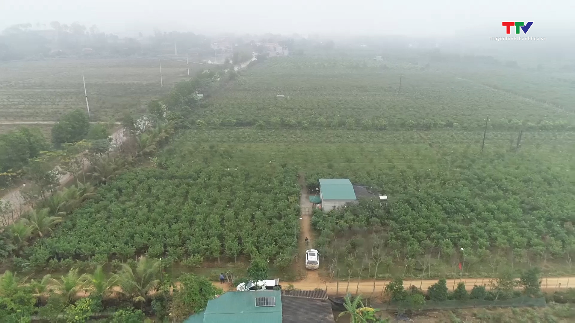 Huyện Thạch Thành đẩy mạnh tích tụ, tập trung đất đai, nâng cao hiệu quả sản xuất nông nghiệp - Ảnh 3.