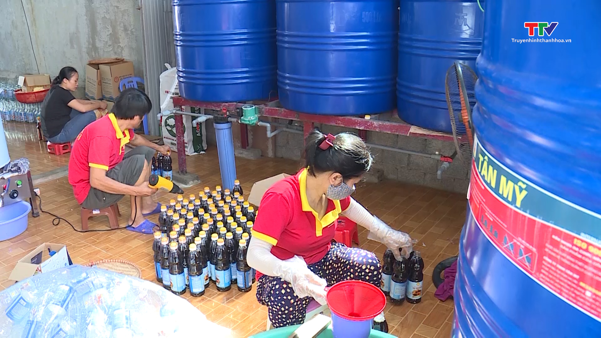 Phát triển dịch vụ hậu cần nghề cá ở thị xã Nghi Sơn, tỉnh Thanh Hóa - Ảnh 2.