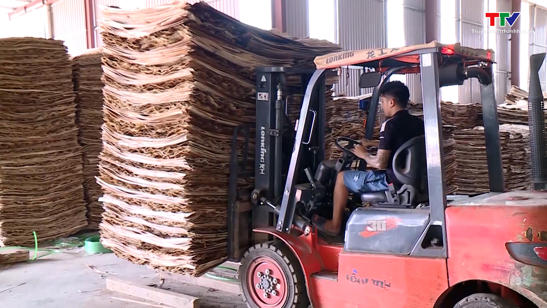 Doanh nghiệp chế biến gỗ và lâm sản nỗ lực tìm kiếm thị trường tiêu thụ - Ảnh 2.