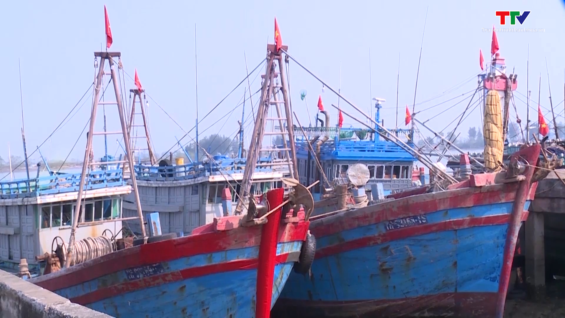 Trung Quốc đơn phương thông báo tạm ngừng đánh cá là không có giá trị - Ảnh 2.