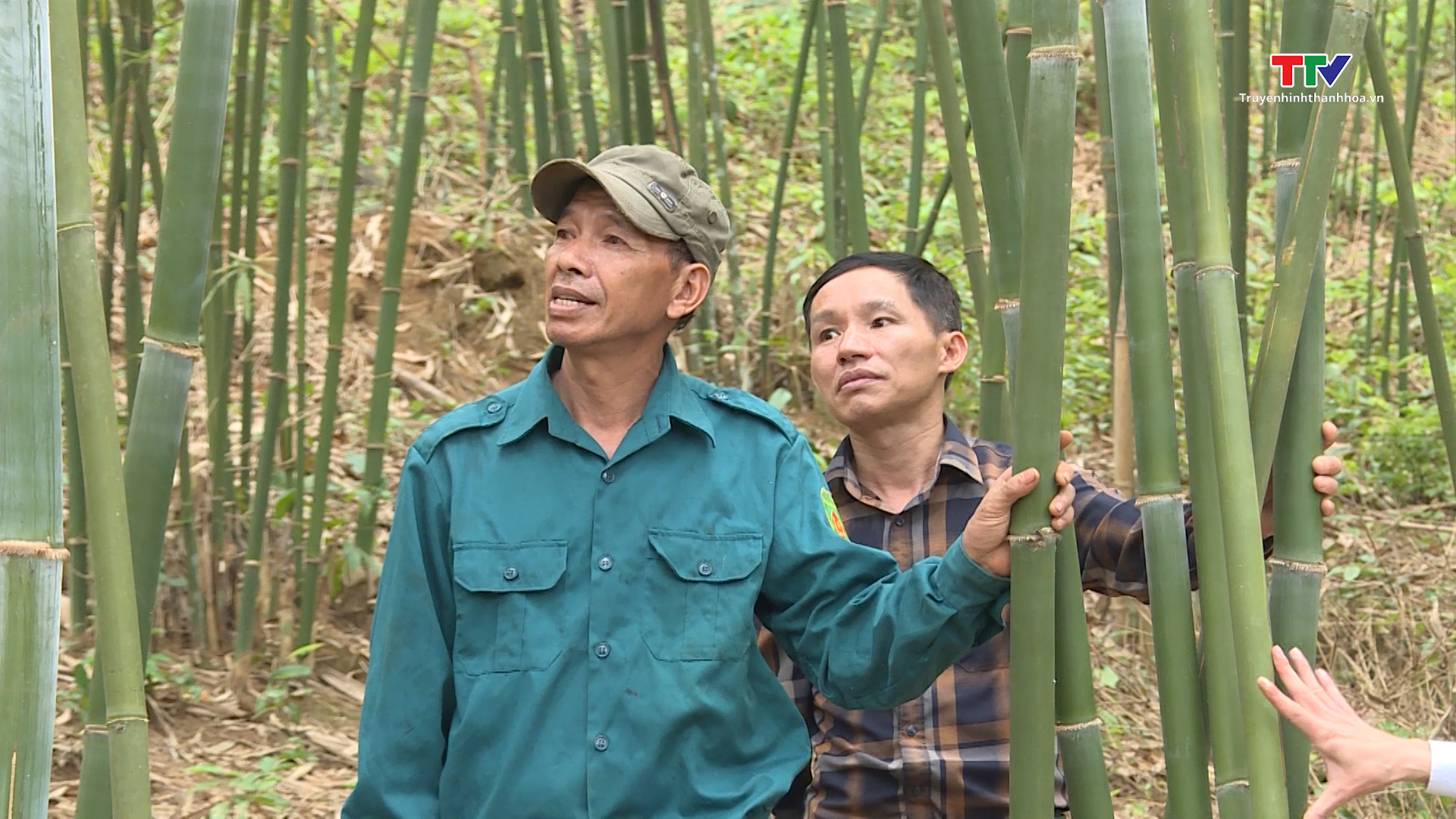 Huyện Quan Sơn đẩy mạnh phát triển rừng bền vững - Ảnh 2.