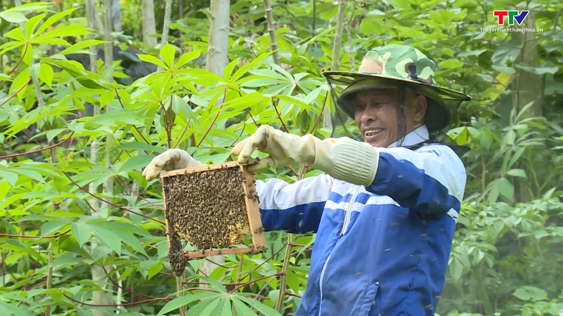 Người nông dân thoát nghèo từ nghề nuôi ong lấy mật ở Lang Chánh - Ảnh 2.