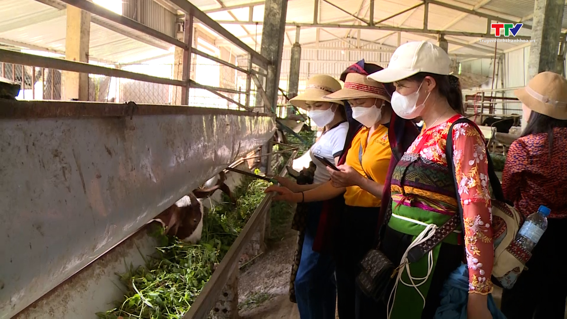 Hơn 100 hội viên phụ nữ được tập huấn khoa học kỹ thuật trong chăn nuôi - Ảnh 2.