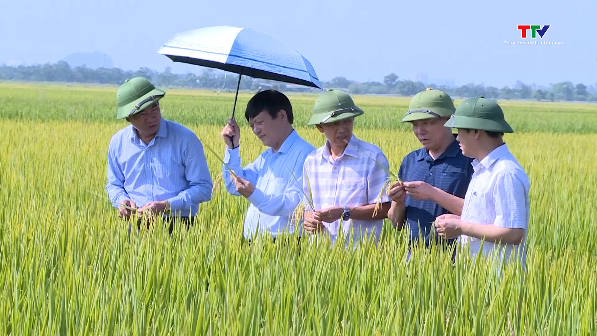 Sản xuất lúa gạo năm 2020 thành công trong khó khăn và một số kinh nghiệm