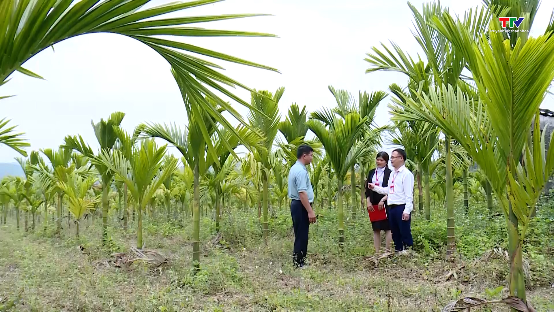 Agribank Thanh Hoá gia tăng vốn tín dụng phục vụ tam nông - Ảnh 3.