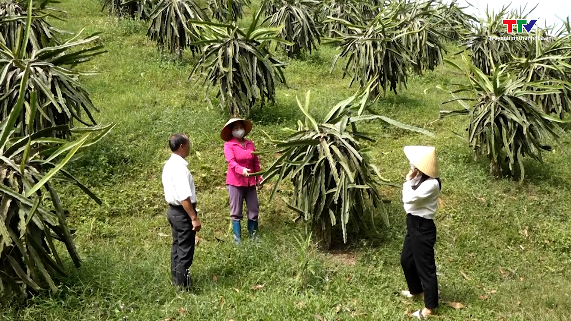 Hội nông dân xã Bình Lương giúp hội viên phát triển kinh tế - Ảnh 2.
