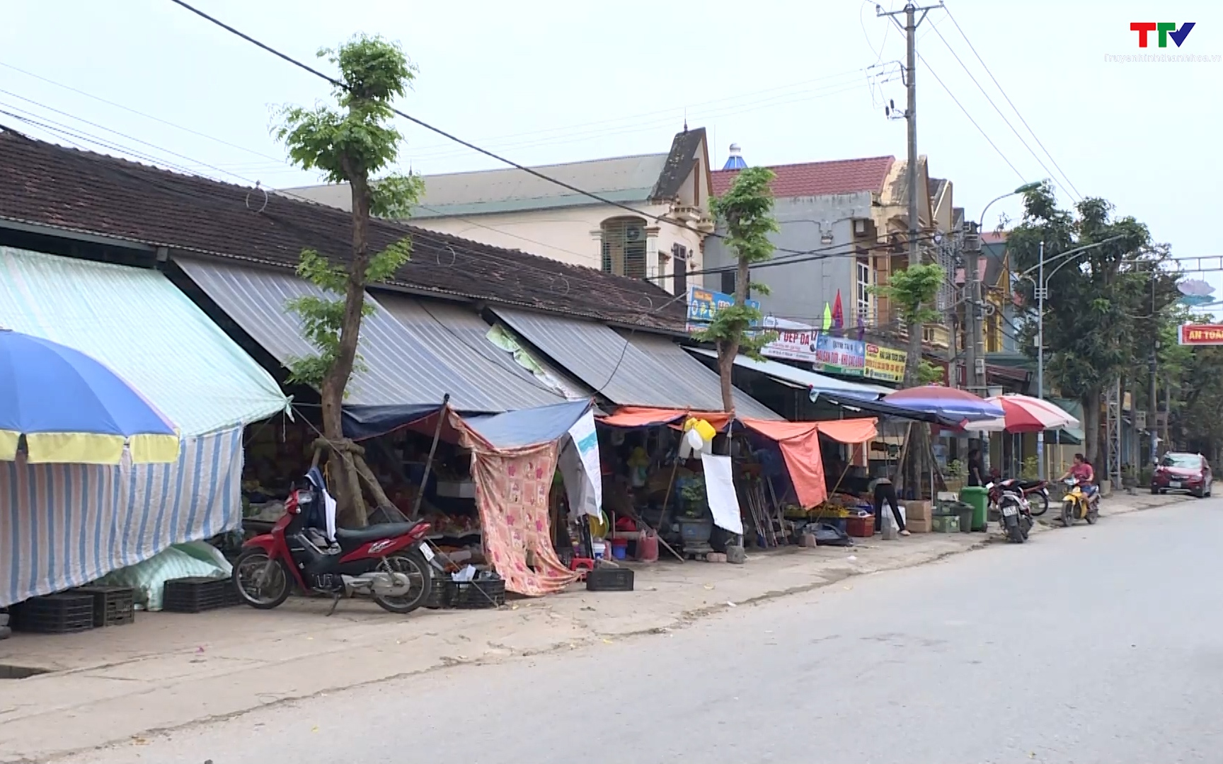 Cục đường bộ Việt Nam yêu cầu tìm giải pháp xử lý vi phạm lấn chiếm hành lang an toàn giao thông đường bộ