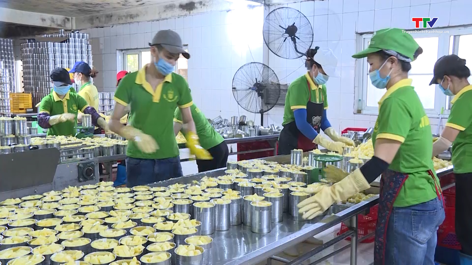 Thanh Hóa mở rộng thị trường xuất khẩu nông sản - Ảnh 2.