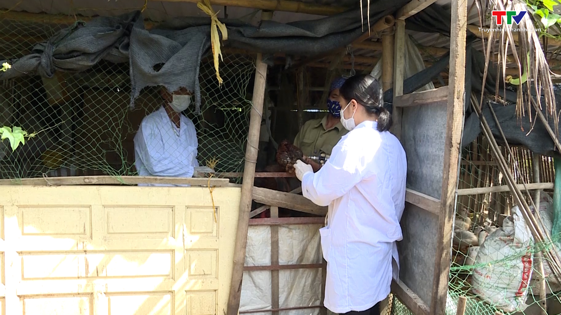 Tăng cường công tác phòng chống dịch bệnh trên đàn gia súc, gia cầm - Ảnh 2.