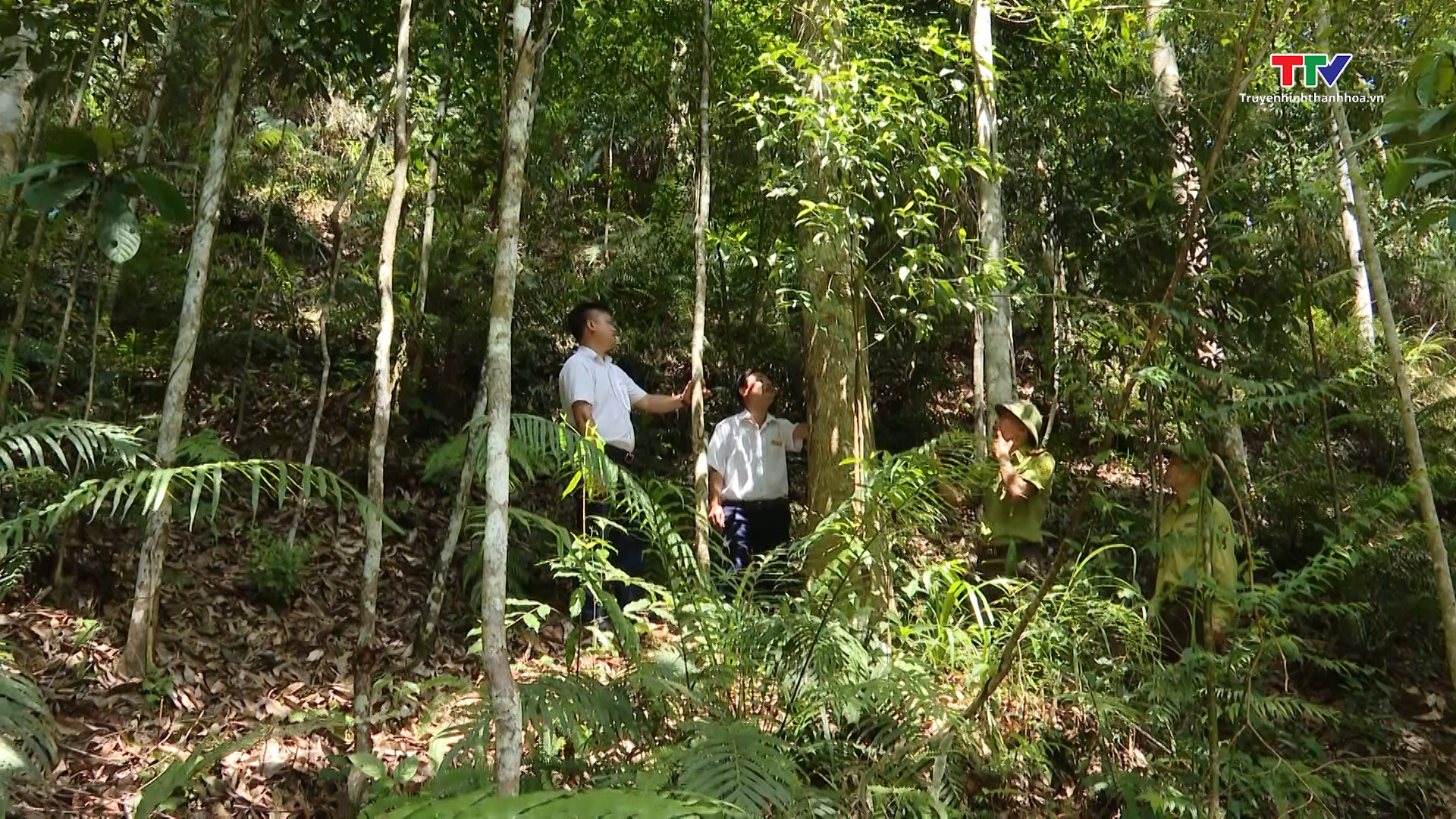 Nâng cao vai trò cấp ủy, chính quyền cơ sở trong công tác bảo vệ rừng - Ảnh 6.