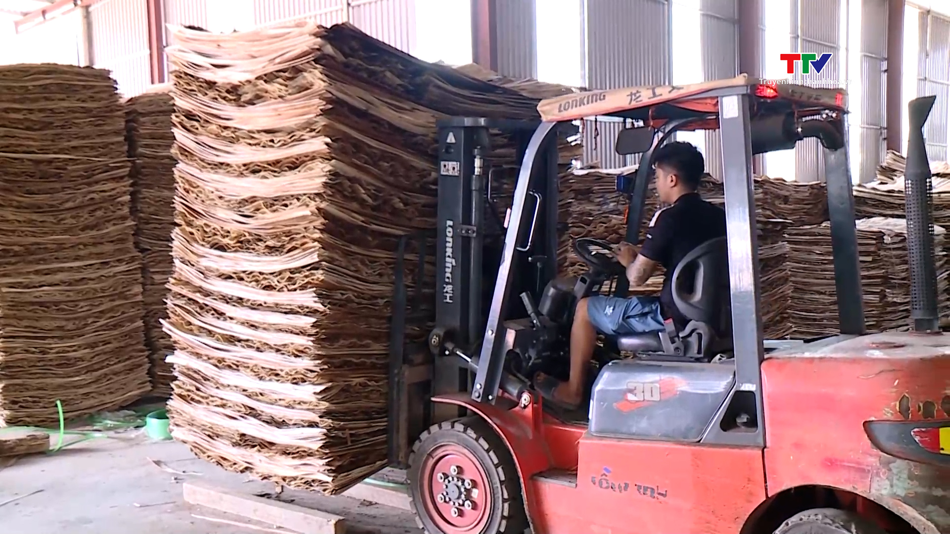 Doanh nghiệp chế biến gỗ đẩy mạnh sản xuất và xuất khẩu  - Ảnh 2.