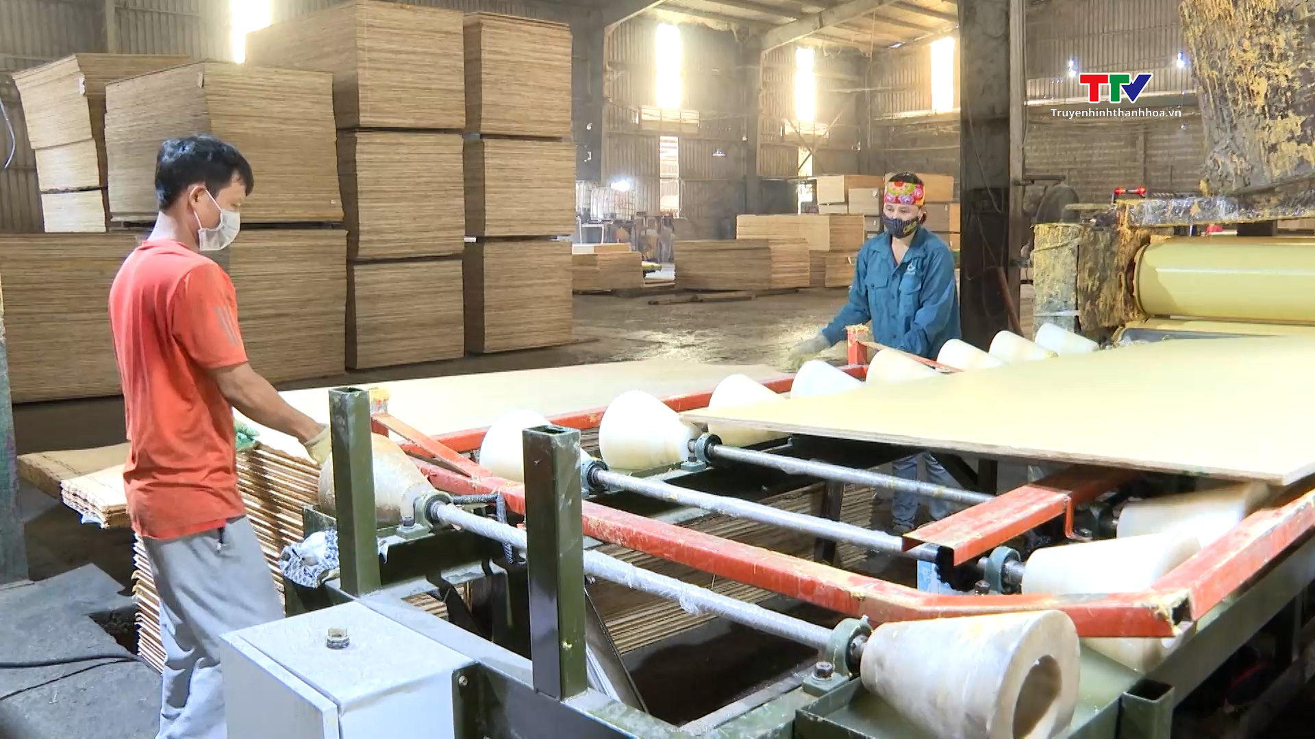 Doanh nghiệp chế biến gỗ đẩy mạnh sản xuất và xuất khẩu  - Ảnh 4.