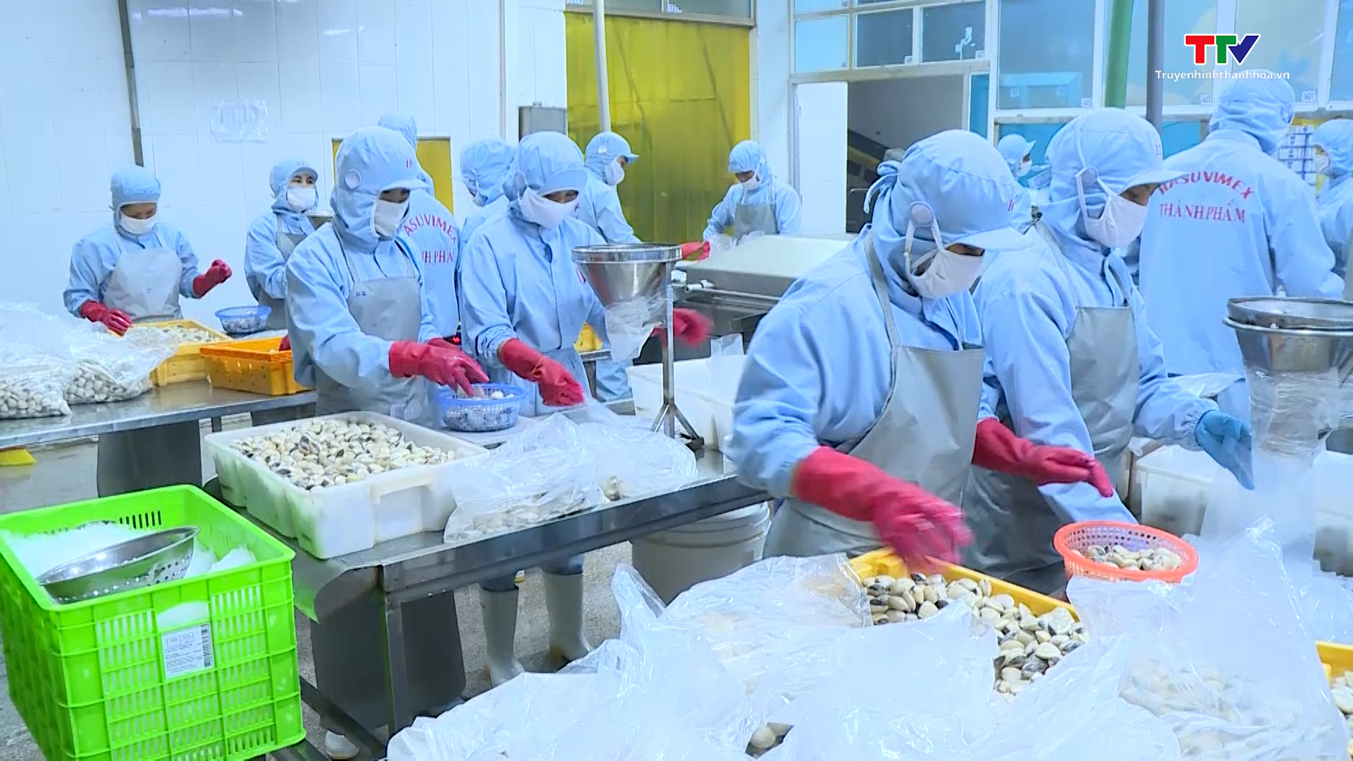 6 tháng năm 2023 sản xuất công nghiệp tại Thanh Hoá phục hồi và tăng trưởng tích cực - Ảnh 2.