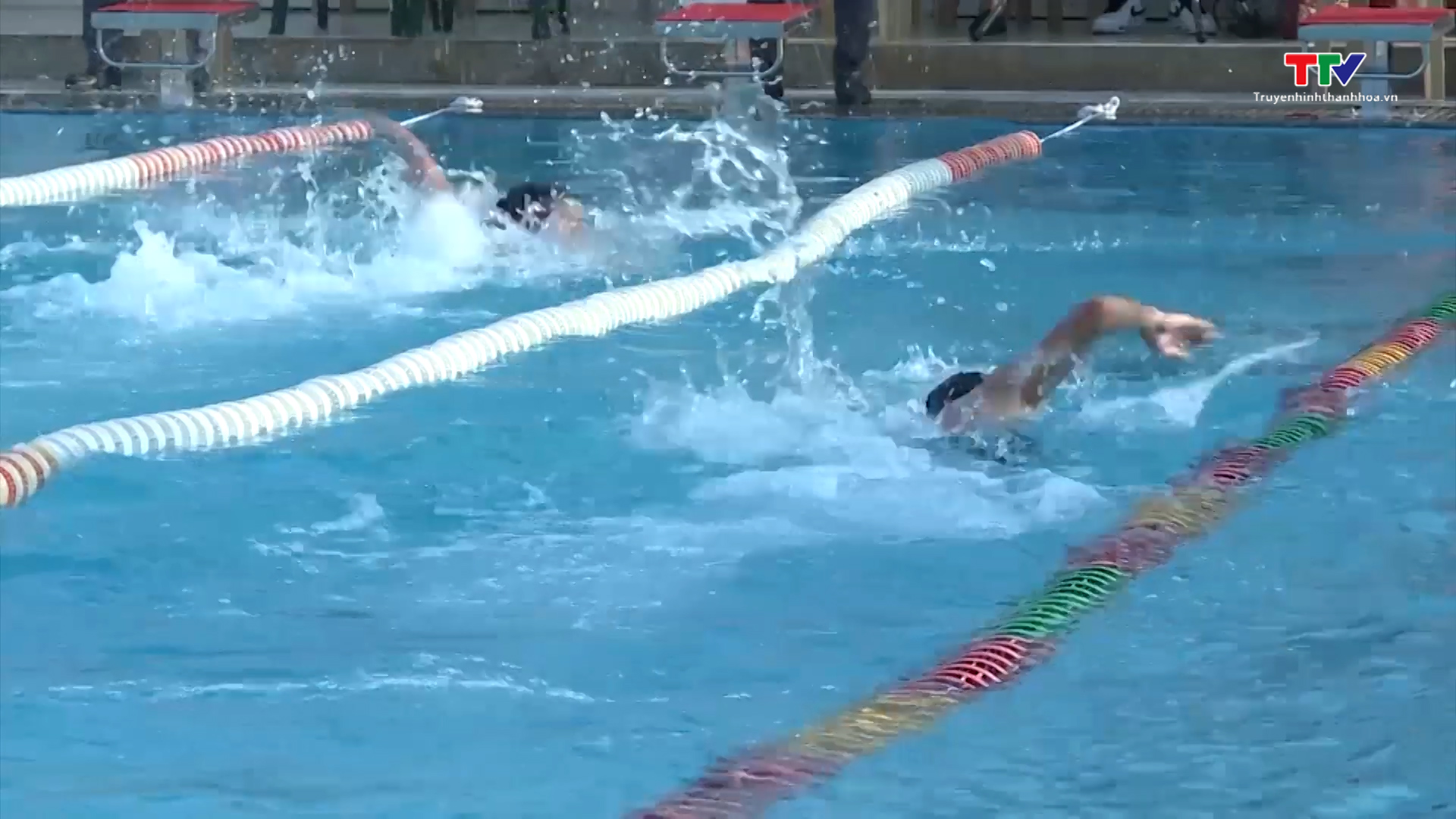 200 vận động viên tham gia Giải bơi, lặn tỉnh Thanh Hoá năm 2023 - Ảnh 2.
