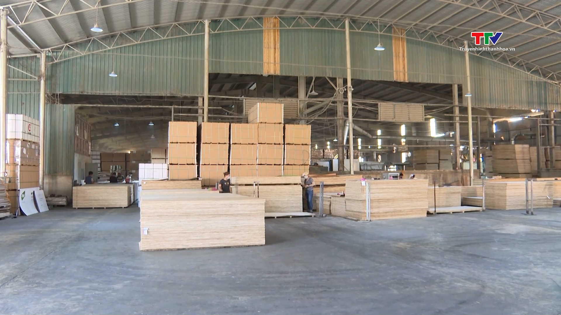 Xuất khẩu gỗ và sản phẩm gỗ gặp khó - Ảnh 2.
