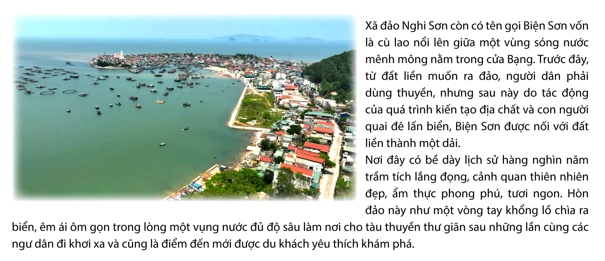 Nghi Sơn - Long lanh biển bạc - Ảnh 2.