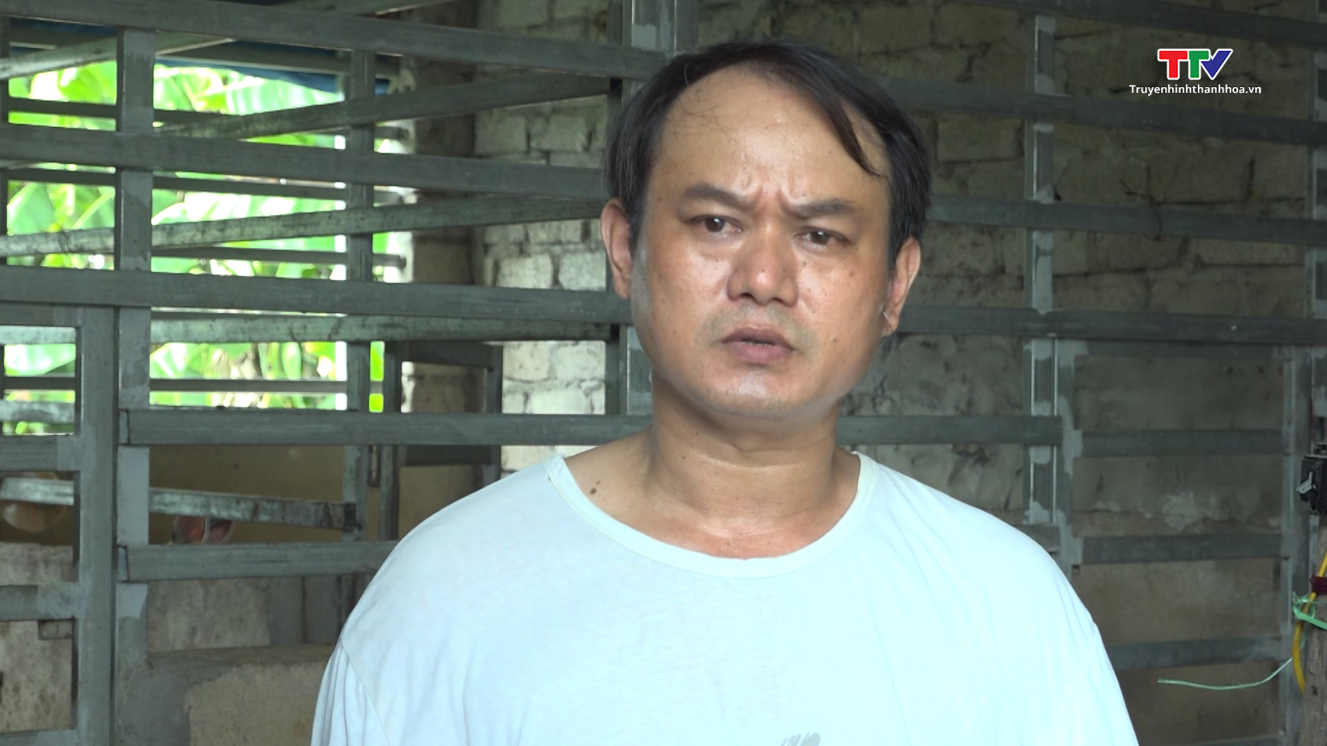 Mô hình nuôi Hươu sao lấy nhung ở xã Quảng Long, huyện Quảng Xương - Ảnh 3. Mô hình nuôi Hươu sao lấy nhung ở xã Quảng Long, huyện Quảng Xương - Ảnh 3.