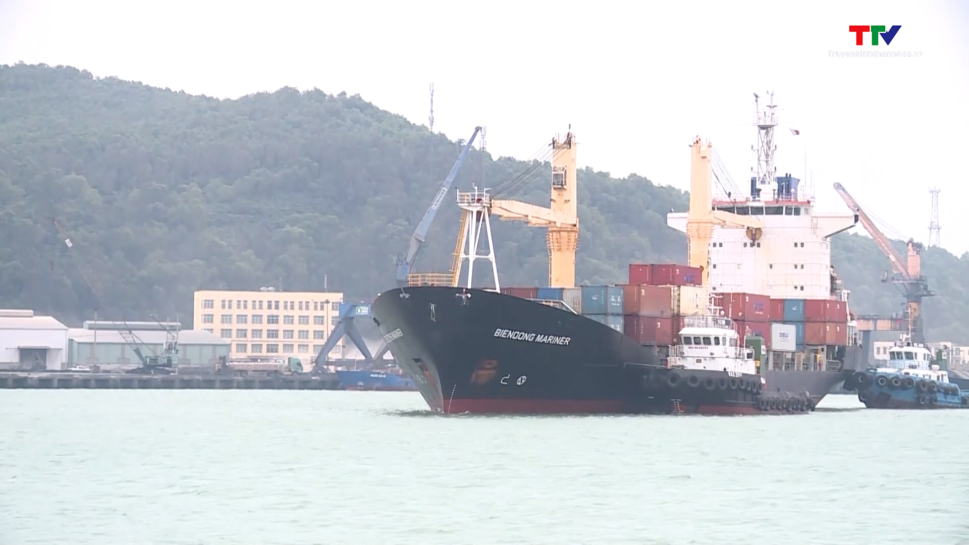 Nhiều chính sách hỗ trợ hoạt động xuất nhập khẩu qua Cảng Nghi Sơn - Ảnh 2.