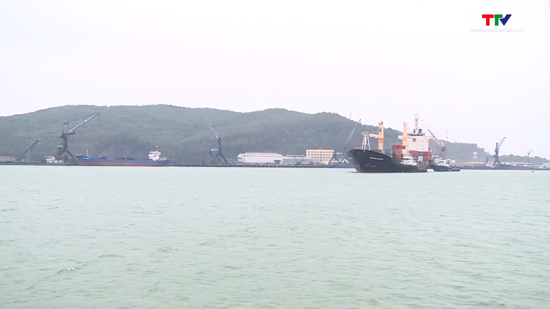 Hỗ trợ doanh nghiệp vận chuyển hàng hóa bằng Container qua cảng Nghi Sơn - Ảnh 1.