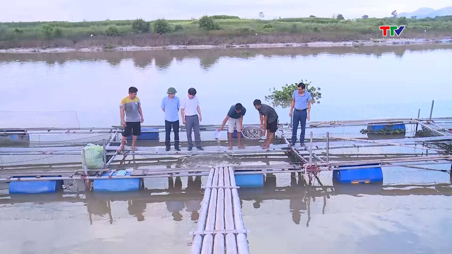 Nông dân xã Lĩnh Toại - Hà Trung nuôi cá lồng hiệu quả cao - Ảnh 2. Nông dân xã Lĩnh Toại - Hà Trung nuôi cá lồng hiệu quả cao - Ảnh 2.